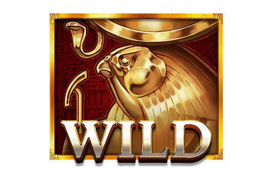 สัญลักษณ์ Wild EC