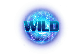 สัญลักษณ์ Wild R